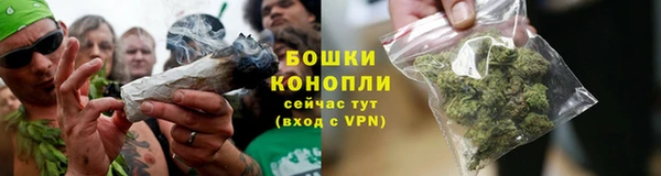 амф Арсеньев