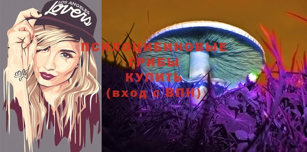мет Аркадак