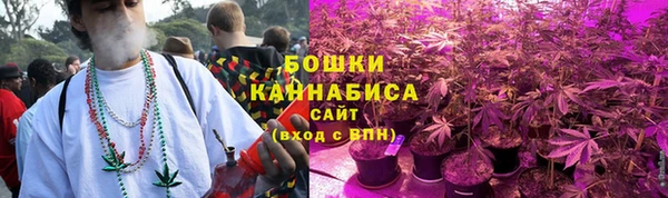 стаф Магас