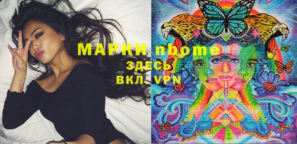 стаф Магас